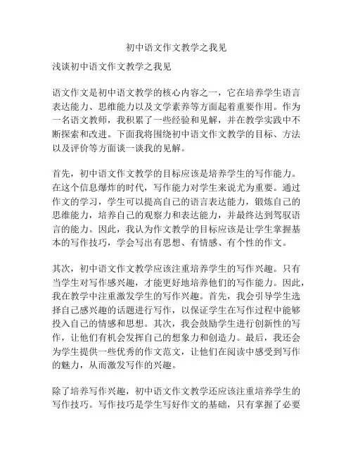 初中语文作文教学之我见