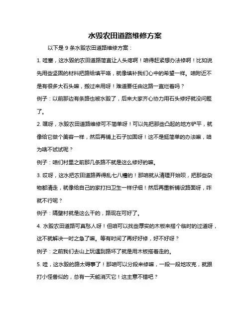 水毁农田道路维修方案