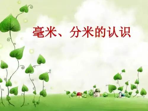 毫米、分米的认识课件1  青岛版