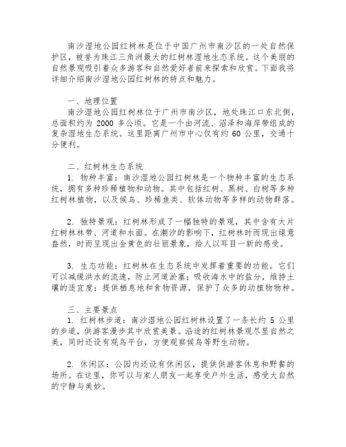 南沙湿地公园红树林介绍