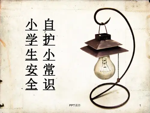 小学生自我保护小常识  ppt课件