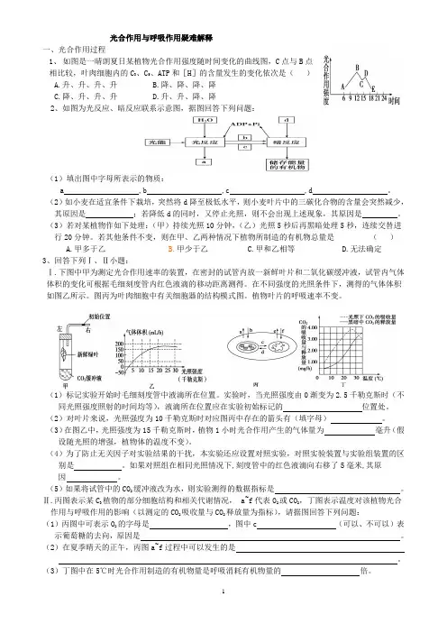 光合作用与呼吸作用疑难解析