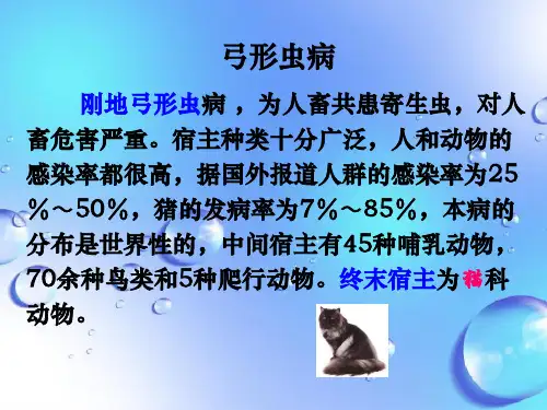 课件：弓形虫病