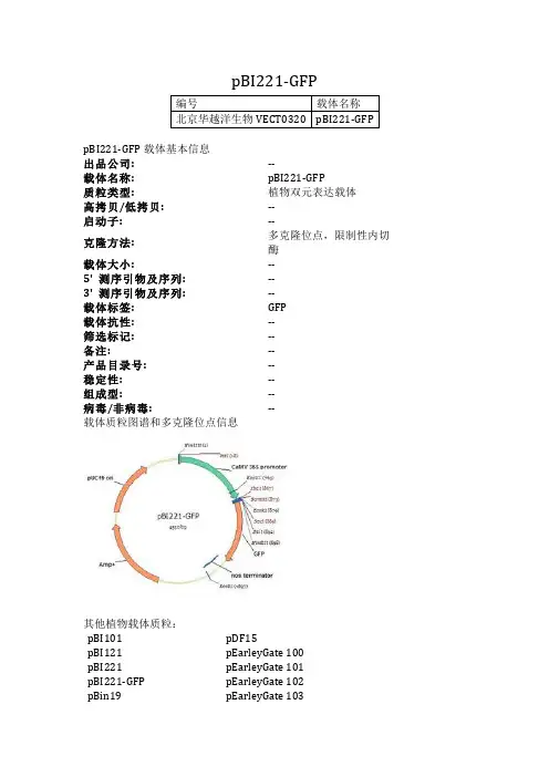 pBI221-GFP植物表达载体