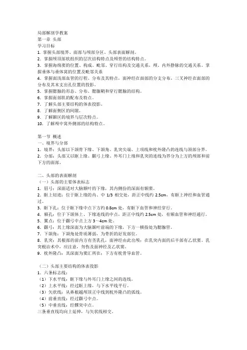 局部解剖学教案