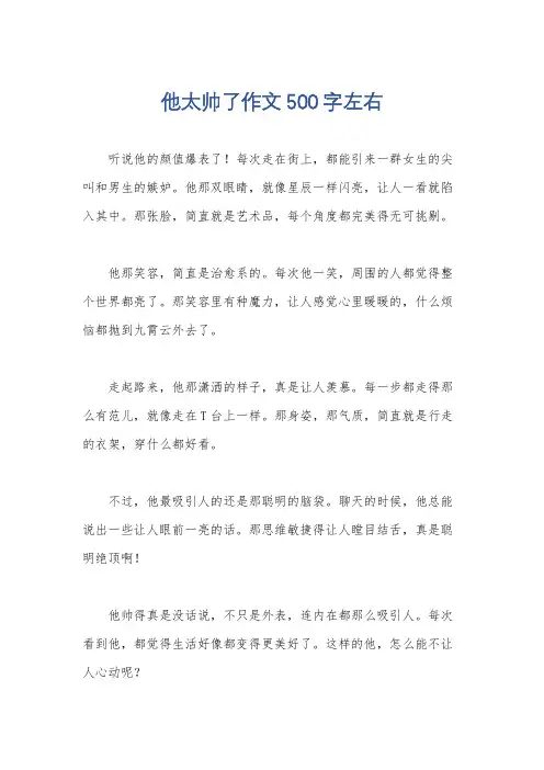 他太帅了作文500字左右
