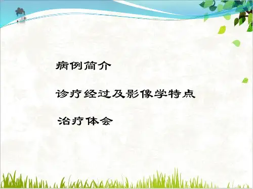 重症肺炎病例分析大场医院PPT.
