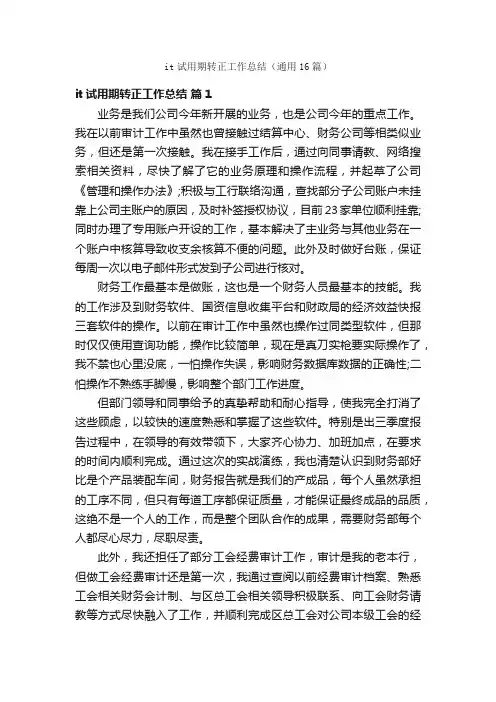 it试用期转正工作总结（通用16篇）