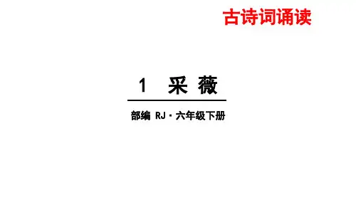 部编版_采薇(节选)_ppt完美版1