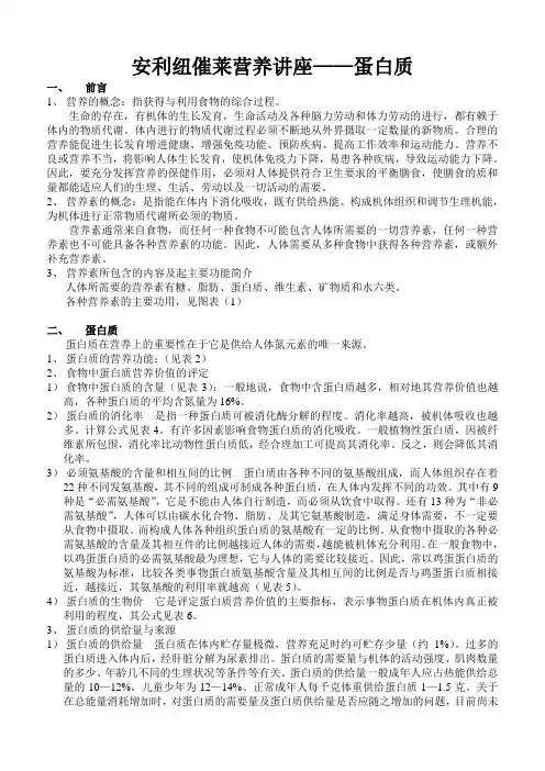 安利纽催莱营养讲座——蛋白质