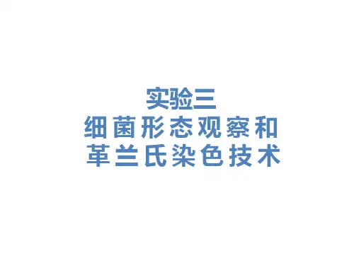 实验三 细菌形态观察和革兰氏染色技术