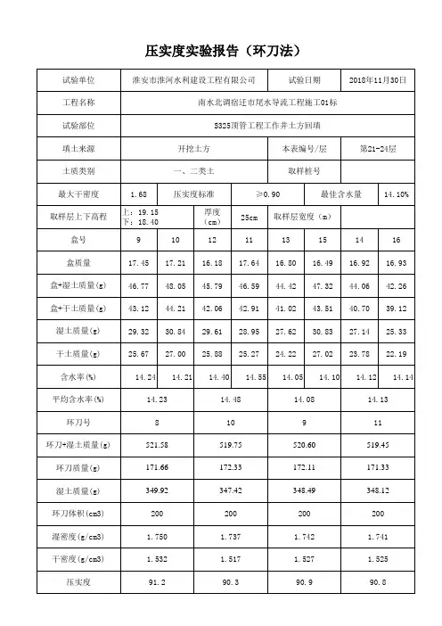压实度试验报告(自动生成)