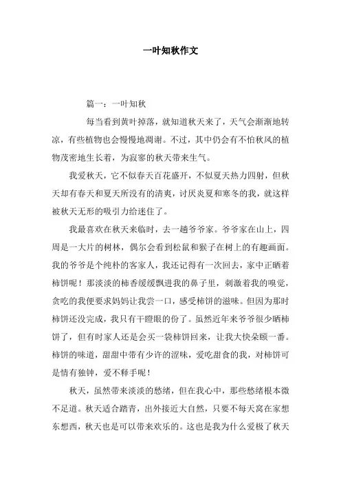一叶知秋作文