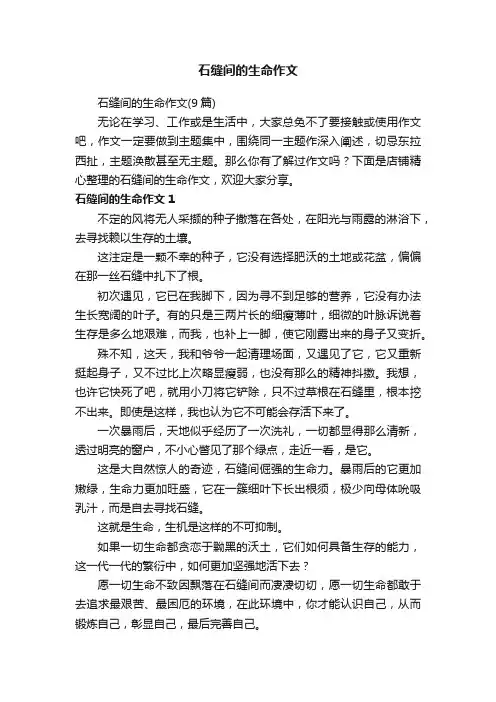 石缝间的生命作文