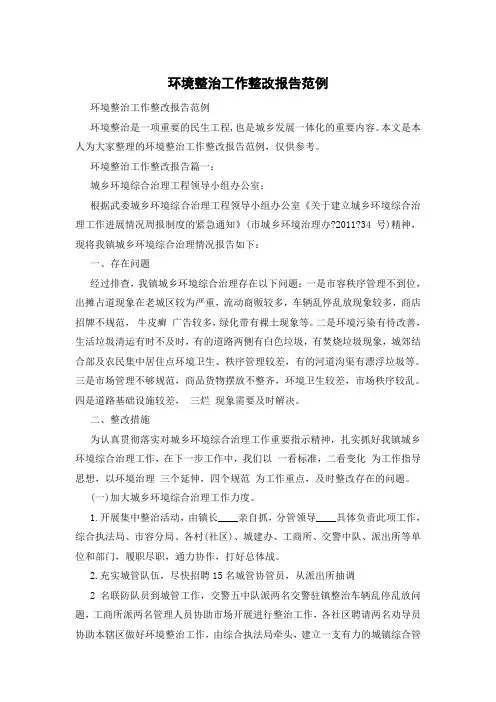 环境整治工作整改报告范例