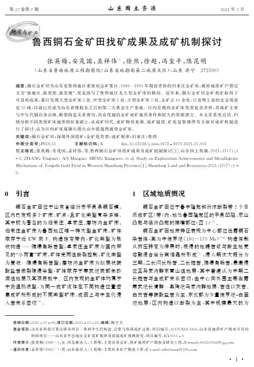 鲁西铜石金矿田找矿成果及成矿机制探讨