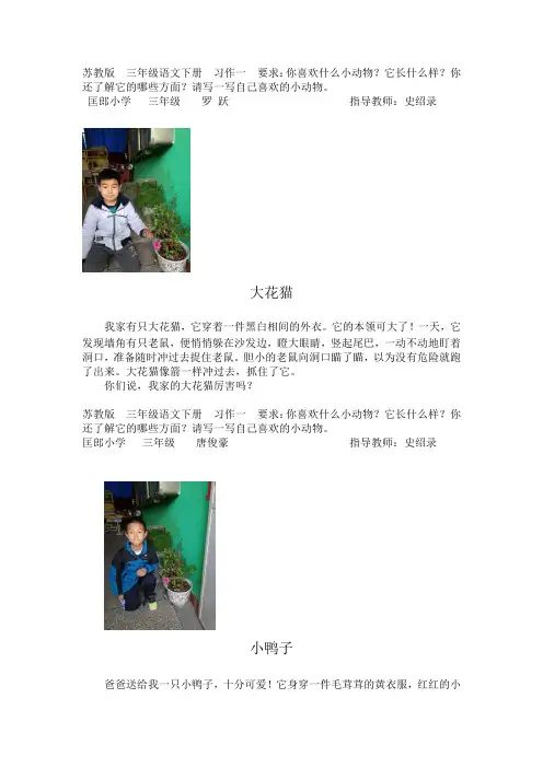 新苏教版三年级语文下册各单元作文范文