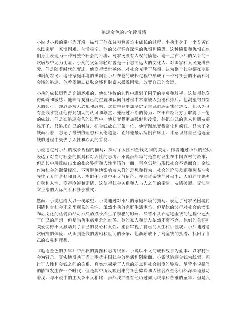 追逐金色的少年读后感