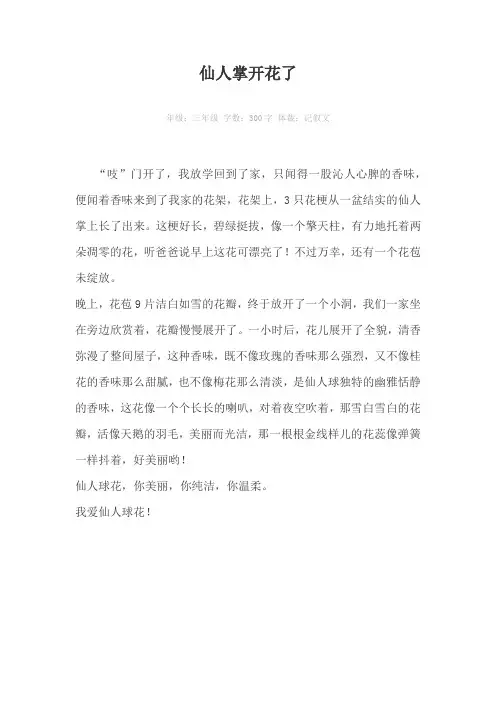 仙人掌开花了300字作文