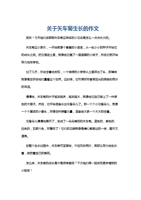 关于矢车菊生长的作文