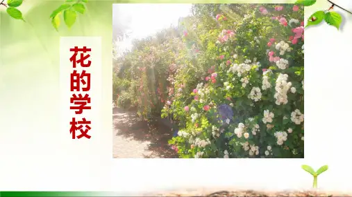 统编版语文三年级上册2《花的学校》课件