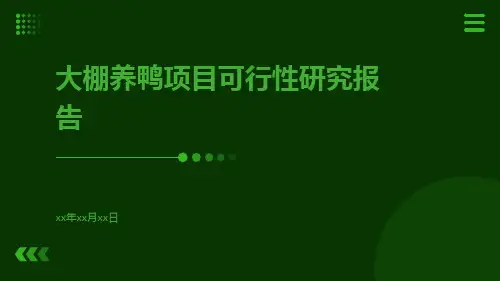 扶贫大棚养鸭项目可行性研究报告