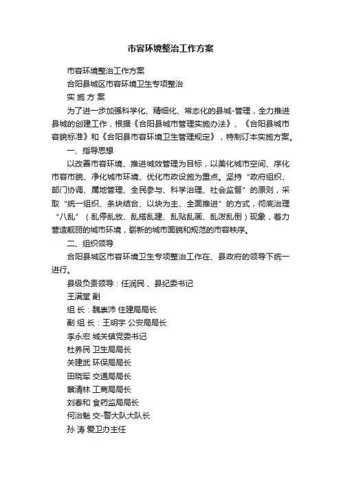 市容环境整治工作方案