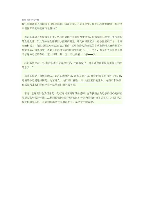 新黑马阅读六年级