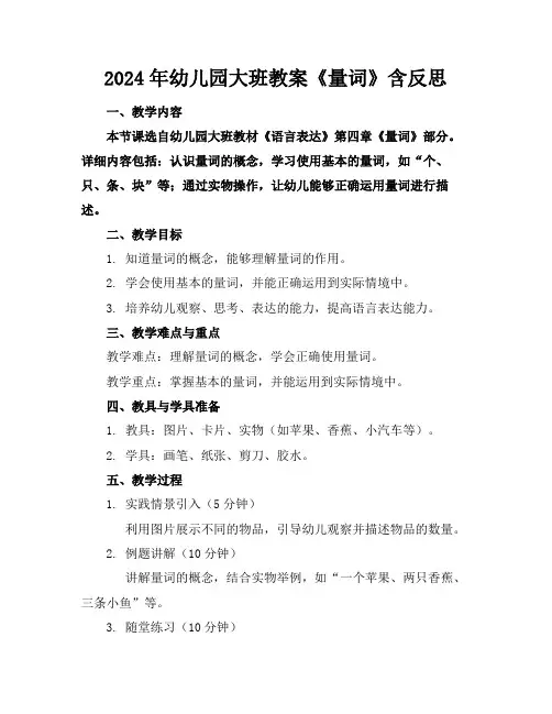 2024年幼儿园大班教案《量词》含反思