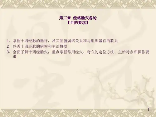 经络腧穴各论-手六经穴--针灸学(南京中医药大学)ppt课件