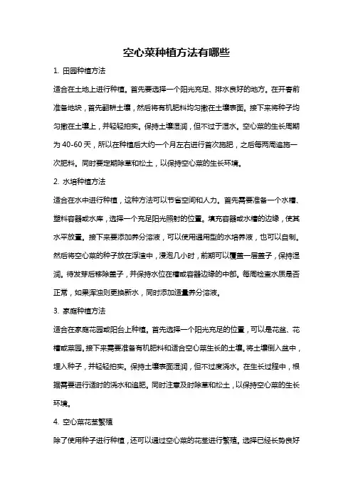 空心菜种植方法有哪些