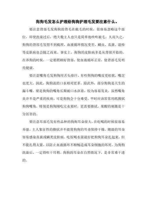 狗狗毛发怎么护理给狗狗护理毛发要注意什么