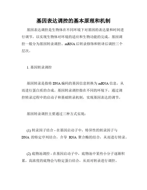 基因表达调控的基本原理和机制