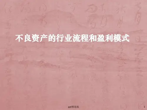 不良资产的行业流程和盈利模式ppt课件