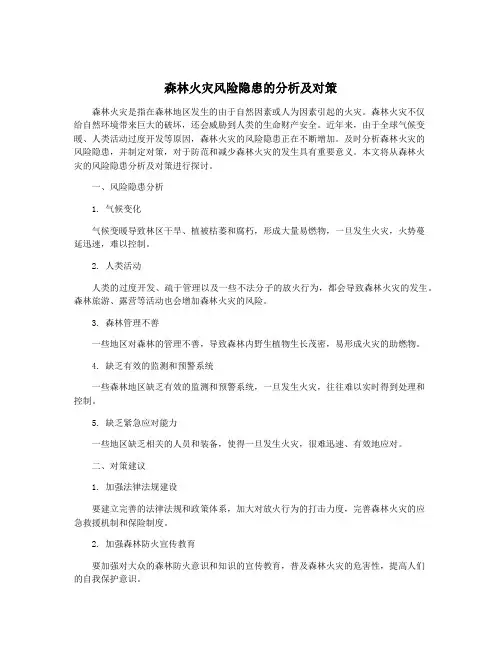 森林火灾风险隐患的分析及对策