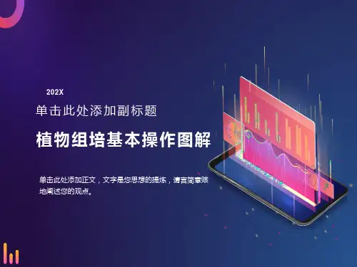 植物组织培养基本操作图解
