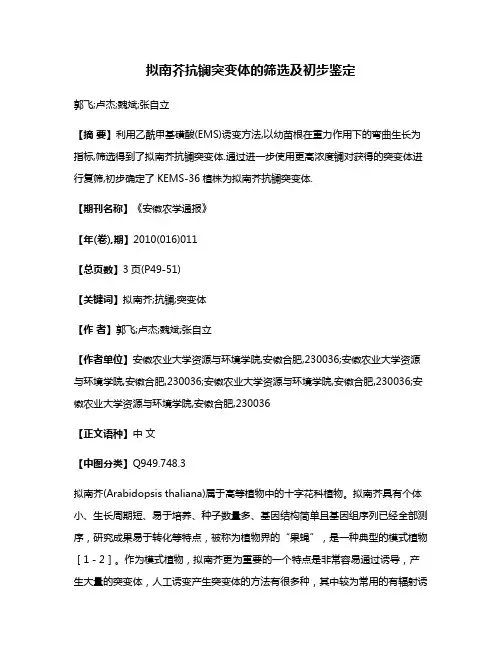 拟南芥抗镧突变体的筛选及初步鉴定