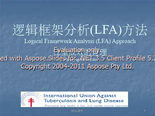 逻辑框架分析(lfa)