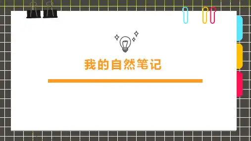 3-6岁《我的自然笔记》—美术课件
