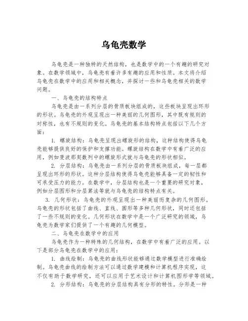 乌龟壳数学