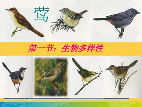 初中生物济南版教材《生物多样性》全套PPT