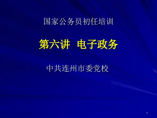 国家公务员初任培训(电子政务)5精品PPT课件
