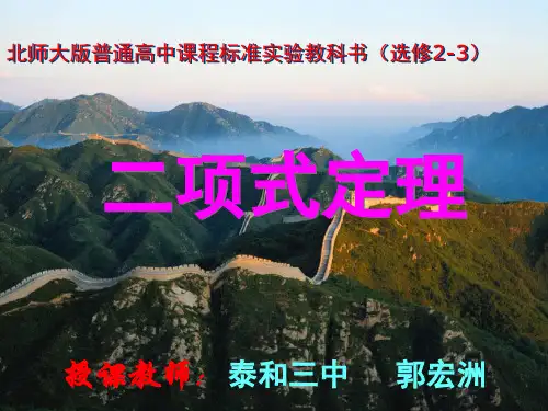 二项式定理 优秀课件