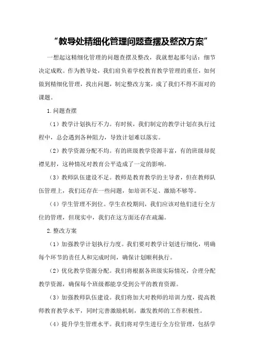 教导处精细化管理问题查摆及整改方案