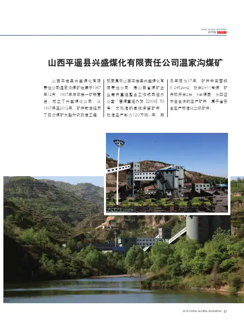山西平遥县兴盛煤化有限责任公司温家沟煤矿