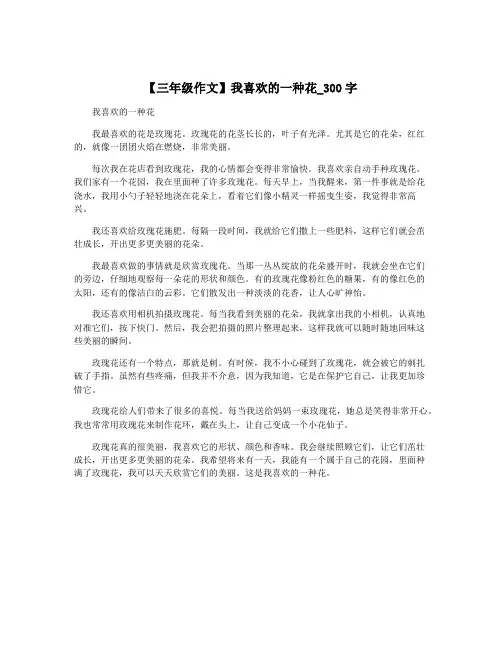 【三年级作文】我喜欢的一种花_300字