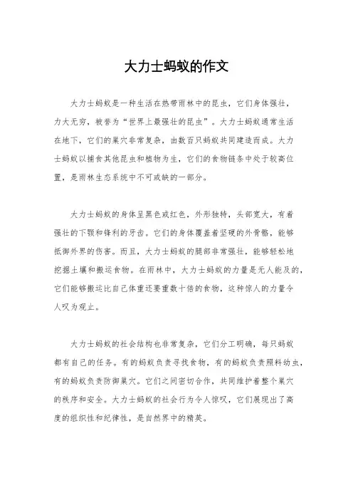 大力士蚂蚁的作文