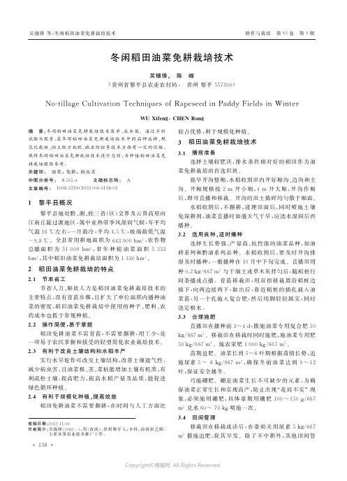 冬闲稻田油菜免耕栽培技术