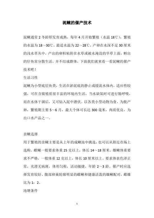 泥鳅的催产技术