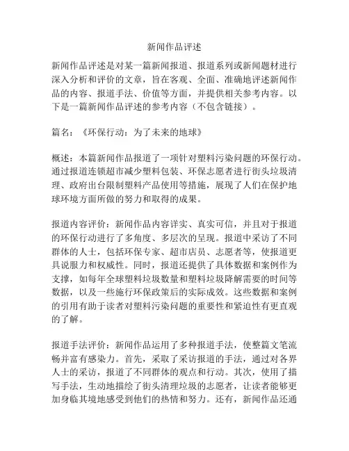 新闻作品评述